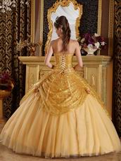 Pretty Golden Sequin Corset Back Adult Ceremony Girls Dress