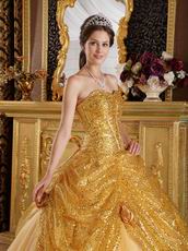 Pretty Golden Sequin Corset Back Adult Ceremony Girls Dress