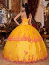 Strapless Marigold Quince Ball Dress By 2014 Top Designer