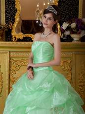 Lovely Style Quinceanera Theme Dress In Apple Green