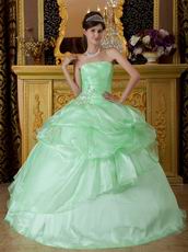 Lovely Style Quinceanera Theme Dress In Apple Green