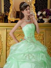 Lovely Style Quinceanera Theme Dress In Apple Green