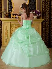 Lovely Style Quinceanera Theme Dress In Apple Green