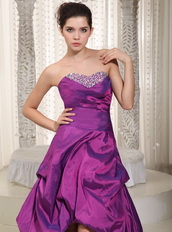 Violet Short Front Long Train Taffeta Prom Dress With Zebra Inside Short and Long Skirt