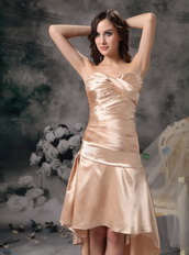 Champagne Short Front Long Back Skirt Hi-Lo Prom Dress Short and Long Skirt