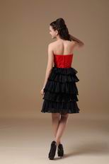 Black Layers Skirt Multi Color Homecoming Dress By Designer