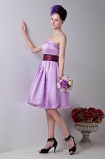 Lilac Junior Homecoming Dresses Under 100 Pounds