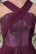 2014 Purple Homecoming Dress With Asymmetrical Skirt