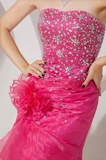 Fuchsia Flowers Decorate Beaded Mermaid Layers Evening Dress