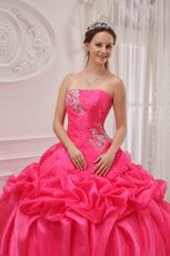 Rolled Flowers Decorate Top Designer Quinceanera Hot Pink Dress