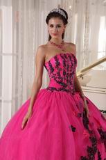 Strapless Fuchsia Sweet 16 Quinceanera Gown With Black Applique