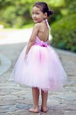 Lovely Halter Flowers Pink Net Toddler Flower Girl Dress