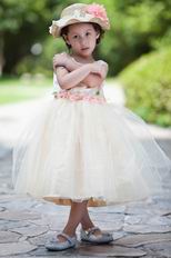 Wholesale Cute Square Champagne Infant Flower Girl Dress Shop