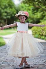 Wholesale Cute Square Champagne Infant Flower Girl Dress Shop