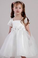 Square Knee-length Organza Little Girl Dress For Wedding Party