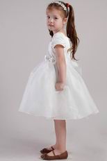 Square Knee-length Organza Little Girl Dress For Wedding Party