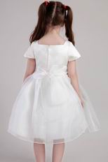 Square Knee-length Organza Little Girl Dress For Wedding Party