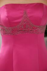 Strapless A-line Fuchsia Prom Party Dress Satin For Women