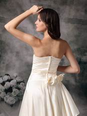 Light Champagne Prom Dress With Side Handcrafted Flowers
