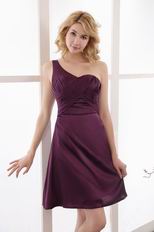 One Shoulder Purple Mother Of The Bride Beach Dress