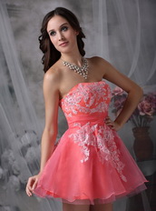 Watermelon Strapless Appliqued Mini Prom Dress Sexy Knee Length Sexy