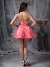 Watermelon Strapless Appliqued Mini Prom Dress Sexy Knee Length Sexy