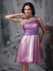 Lilac Prom Dress With One Shoulder Knee Length Skirt Knee Length Sexy