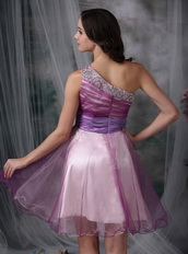 Lilac Prom Dress With One Shoulder Knee Length Skirt Knee Length Sexy