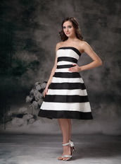 Black and White Ombre Layers Skirt Short Prom Dress 2014 Knee Length Sexy