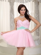 Baby Pink Lovely Prom Dress With Butterfly Appliques Design Knee Length Sexy