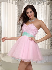 Baby Pink Lovely Prom Dress With Butterfly Appliques Design Knee Length Sexy