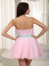 Baby Pink Lovely Prom Dress With Butterfly Appliques Design Knee Length Sexy