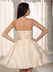 Champagne A-line Strapless Short Prom Dress Lovely Girl Knee Length Sexy