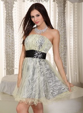 Black Belt Zebra Short Prom Dress Coverd With Net Knee Length Sexy