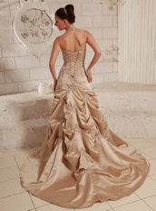 Halter Top Neck Taffeta Champagne Wedding Dress With Embroidery Pregnant