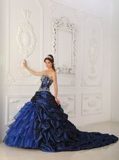 Chapel Train Skirt Dark Blue Quinceanera Dress Winter Wear