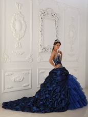 Chapel Train Skirt Dark Blue Quinceanera Dress Winter Wear