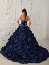 Chapel Train Skirt Dark Blue Quinceanera Dress Winter Wear