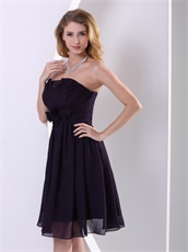 Darkest Purple Chiffon Dresses For Bridesmaid/Dama Special Occasion