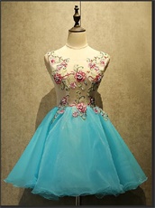 Aqua Scoop Mini Length Homecoming Dress With Wintersweet Appliques