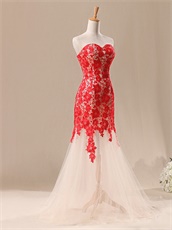 Elegant Mermaid Champagne Prom Dress With Red Chemical Lace