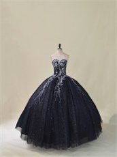 Silver Embroidery Black Puffy Quinceanera Dress With Sparkle Tulle Inside