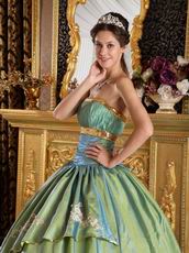 Strapless Appliques Celadon Green Adult Ceremony Dress