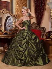 Olive Green Floor-length Taffeta Fabric Quinceanera Dress