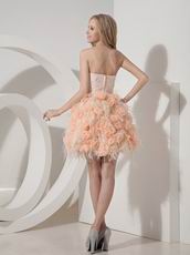 Cute Style Orange Lace Cocktail Dress With Feather Decorate