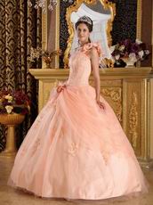 Light Orange Single Shoulder Handmade Flowers Quinceanera Gown