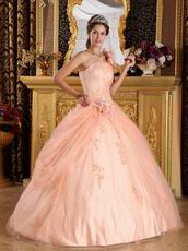 Light Orange Single Shoulder Handmade Flowers Quinceanera Gown