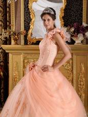 Light Orange Single Shoulder Handmade Flowers Quinceanera Gown