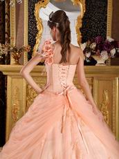 Light Orange Single Shoulder Handmade Flowers Quinceanera Gown