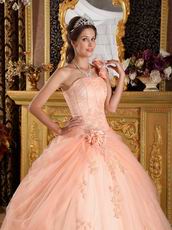 Light Orange Single Shoulder Handmade Flowers Quinceanera Gown